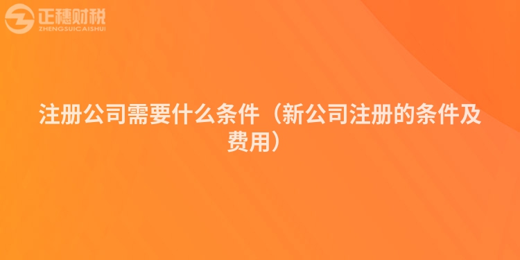 注册公司需要什么条件（新公司注册的条件及费用）