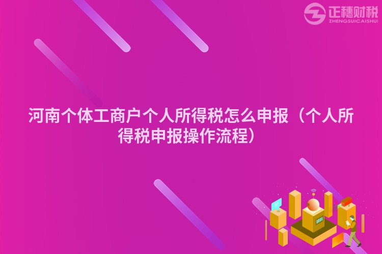 河南个体工商户个人所得税怎么申报（个人所得税申报操作流程）