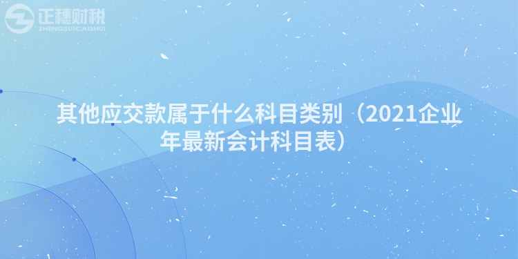 其他应交款属于什么科目类别（2023企业年最新会计科目表）