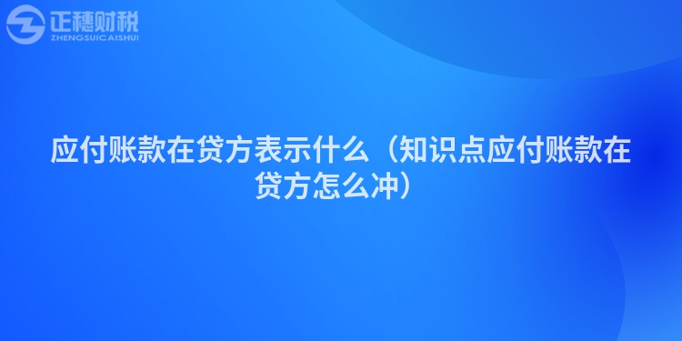 应付账款在贷方表示什么（知识点应付账款在贷方怎么冲）