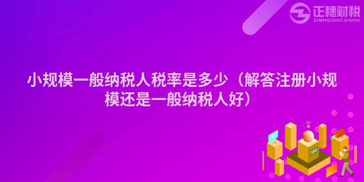 小规模一般纳税人税率是多少（解答注册小规模还是一般纳税人好）