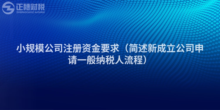 小规模公司注册资金要求（简述新成立公司申请一般纳税人流程）