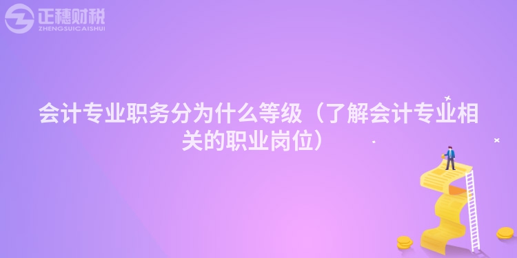 会计专业职务分为什么等级（了解会计专业相关的职业岗位）