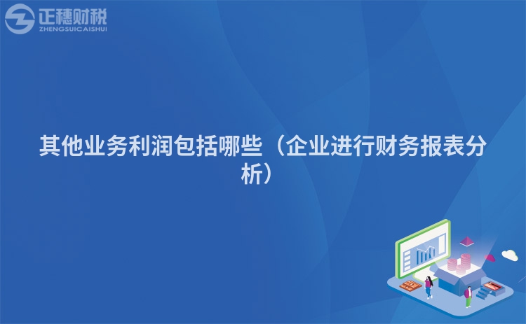 其他业务利润包括哪些（企业进行财务报表分析）