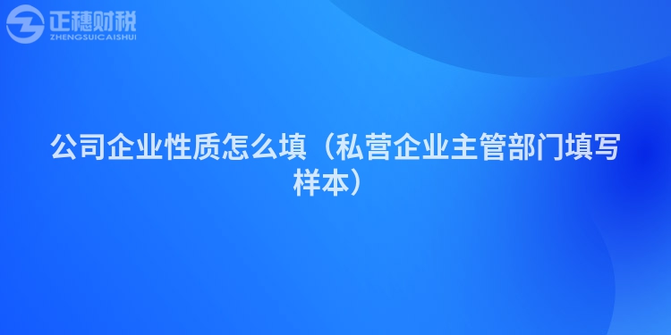 公司企业性质怎么填（私营企业主管部门填写样本）