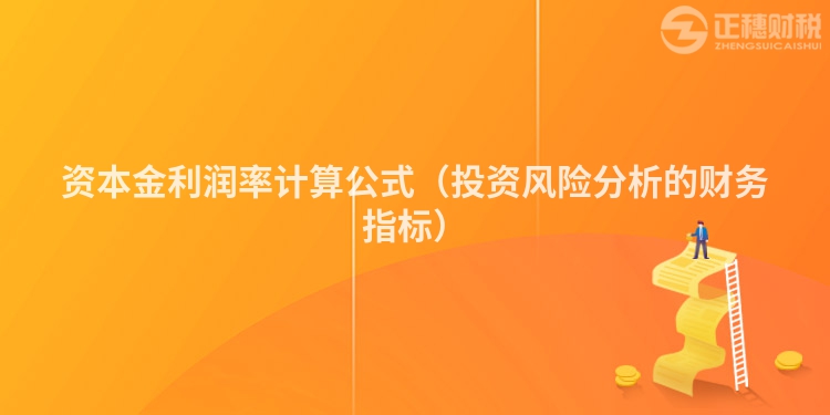 资本金利润率计算公式（投资风险分析的财务指标）