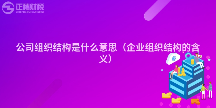 公司组织结构是什么意思（企业组织结构的含义）