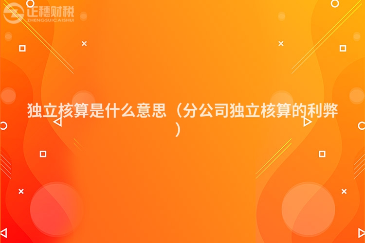 独立核算是什么意思（分公司独立核算的利弊）