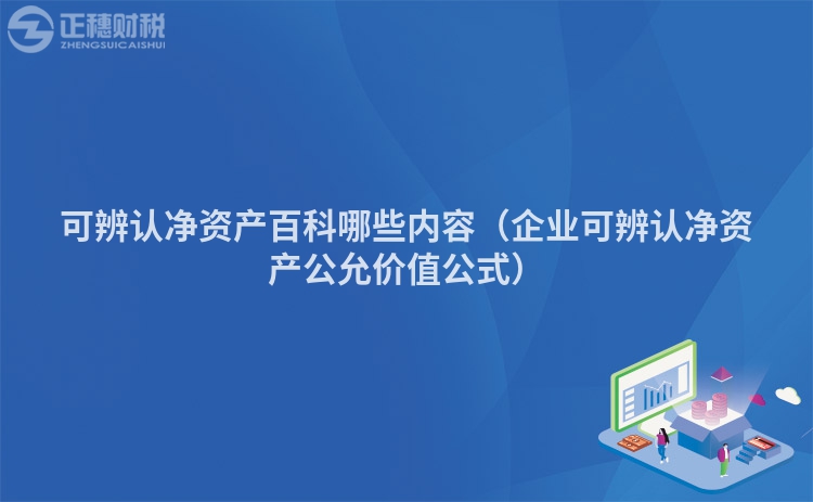 可辨认净资产百科哪些内容（企业可辨认净资产公允价值公式）