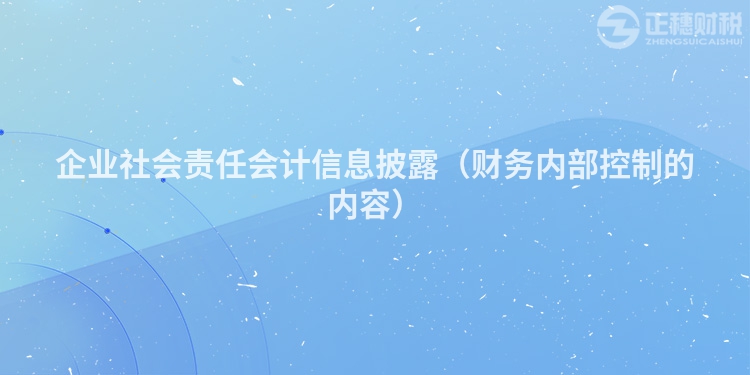 企业社会责任会计信息披露（财务内部控制的内容）