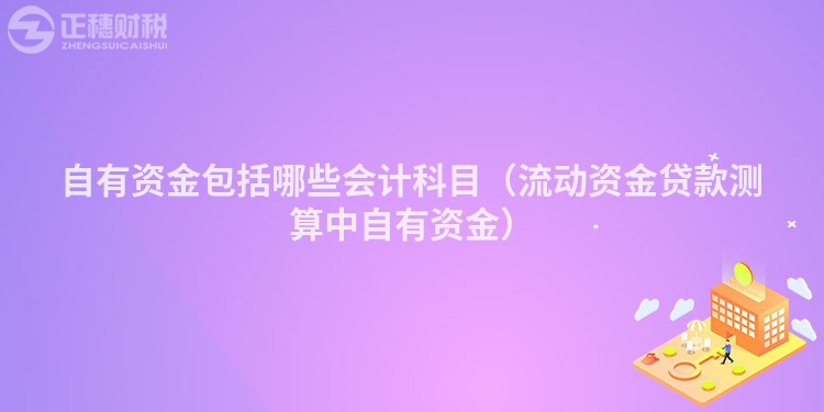 自有资金包括哪些会计科目（流动资金贷款测算中自有资金）