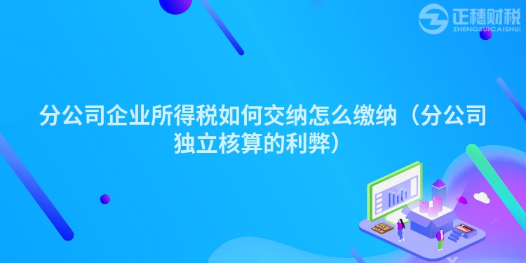 分公司企业所得税如何交纳怎么缴纳（分公司独立核算的利弊）