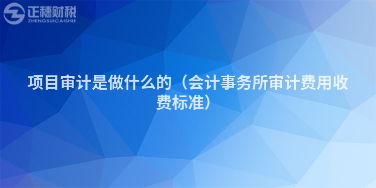 项目审计是做什么的（会计事务所审计费用收费标准）