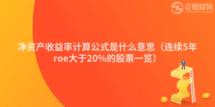 净资产收益率计算公式是什么意思（连续5年roe大于20%的股票一览）