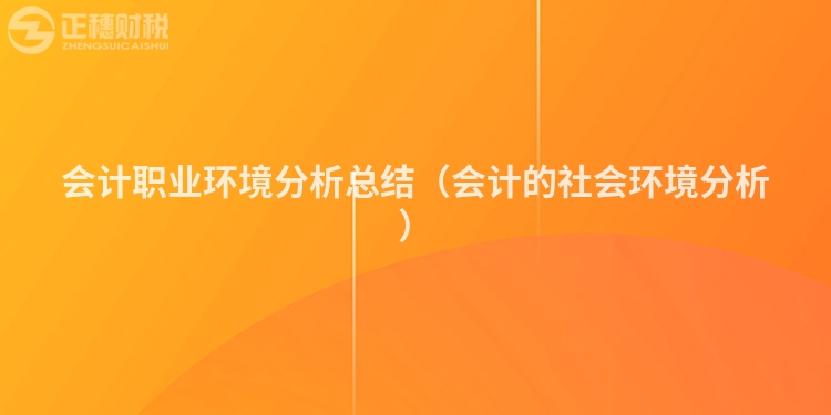 会计职业环境分析总结（会计的社会环境分析）