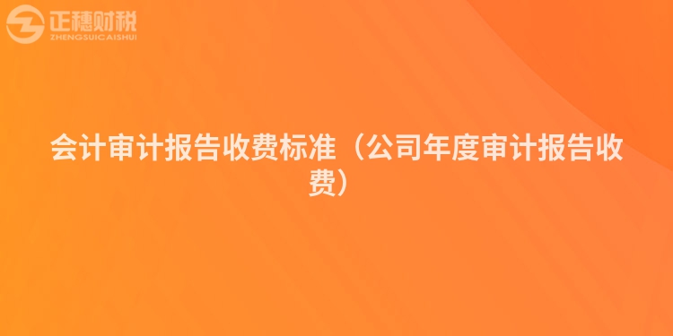 会计审计报告收费标准（公司年度审计报告收费）