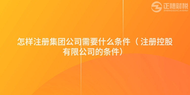 怎样注册集团公司需要什么条件（