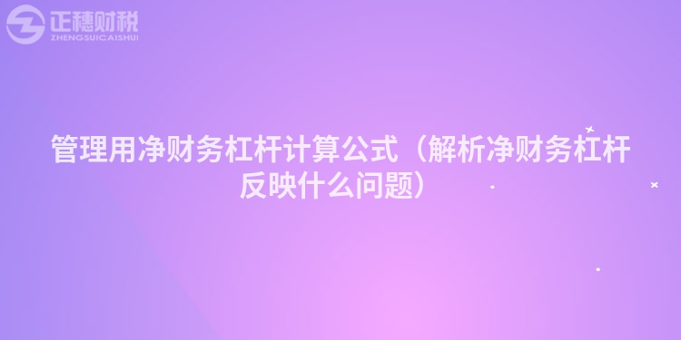 管理用净财务杠杆计算公式（解析净财务杠杆反映什么问题）